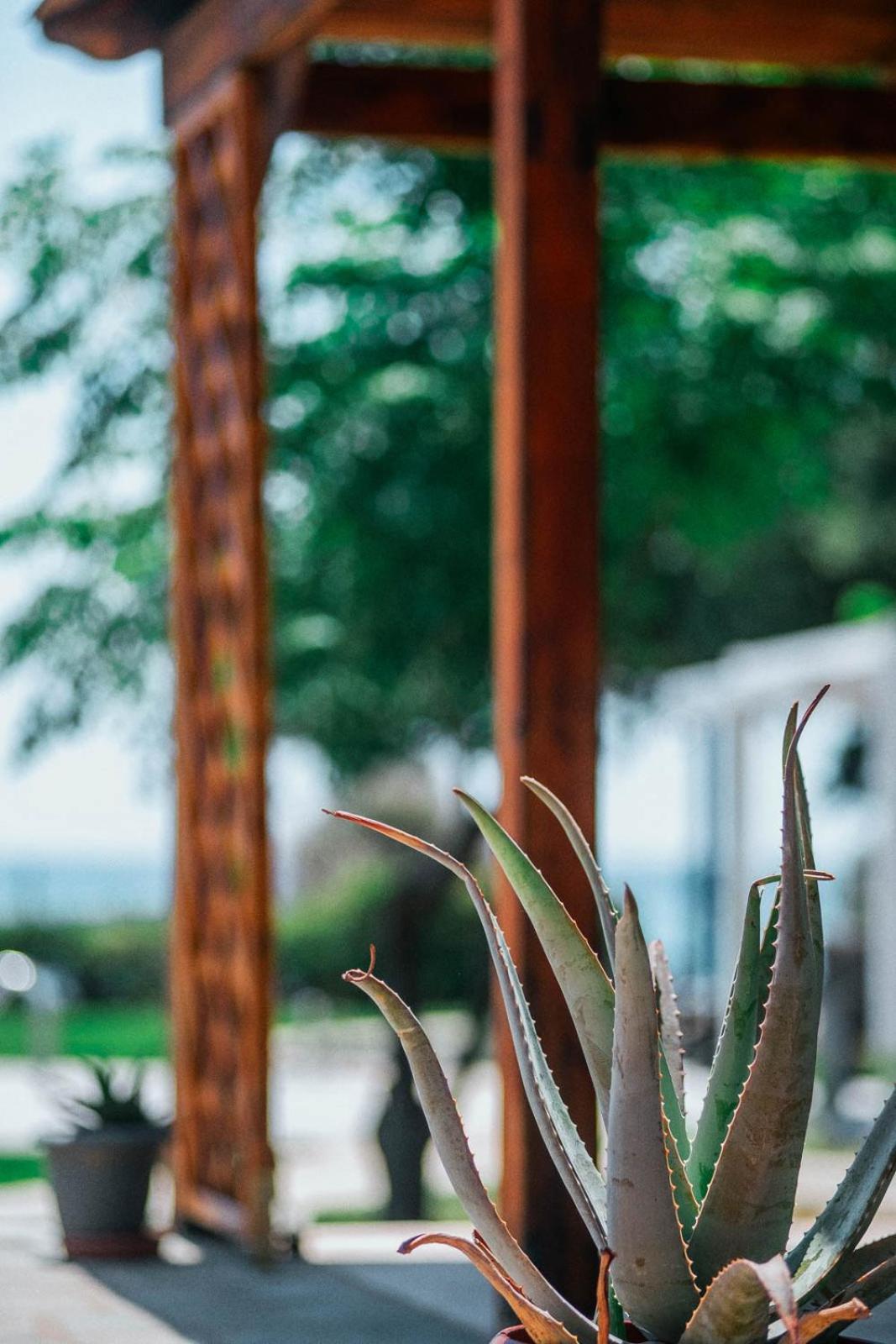 Villa Odyssea Dikella 외부 사진